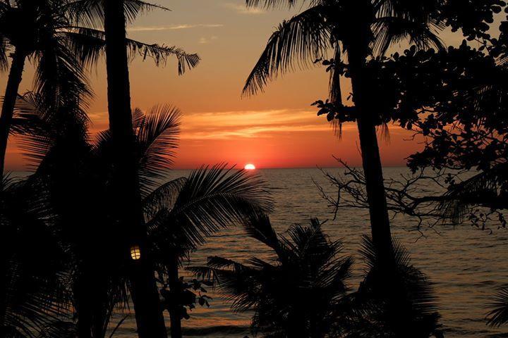 Paradise Palms Resort