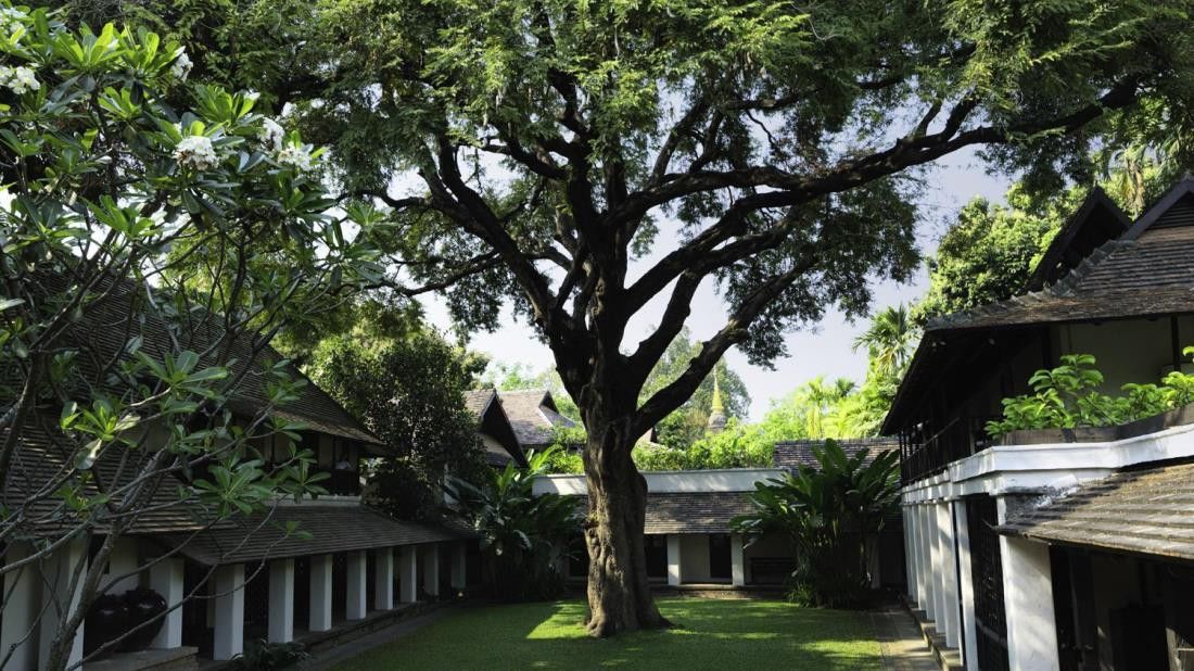 Tamarind Village