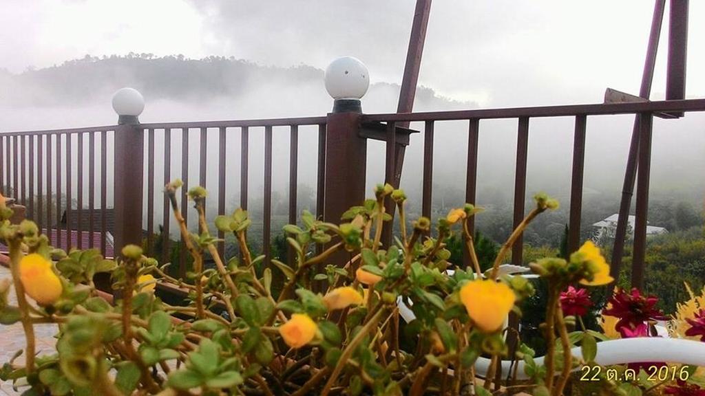 Purngun Khao Kho