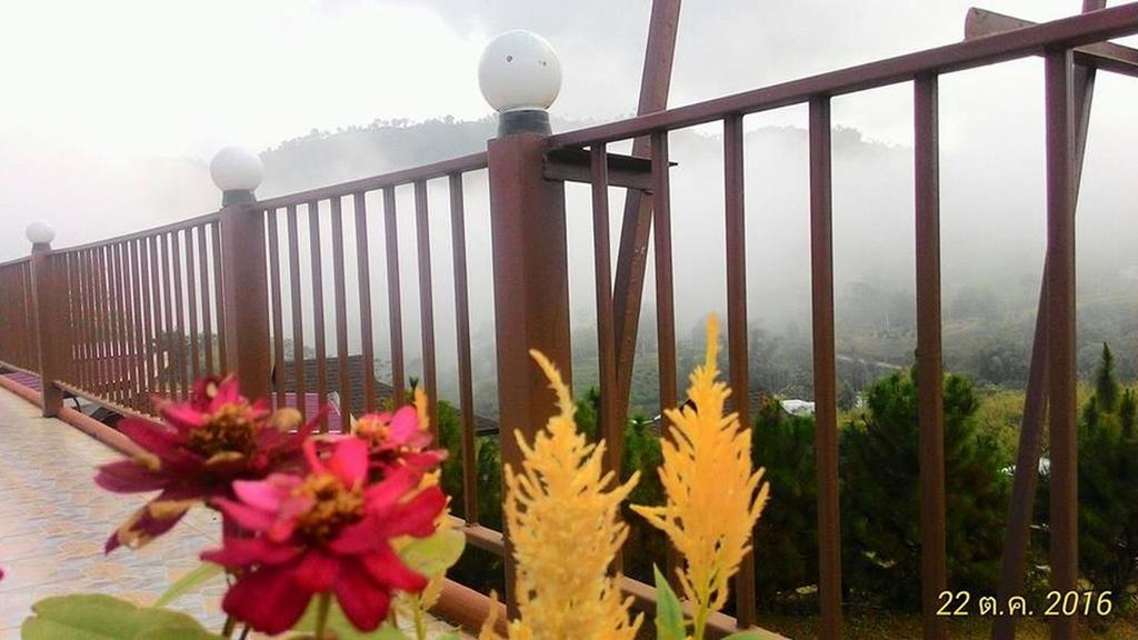 Guest house Purngun 2*