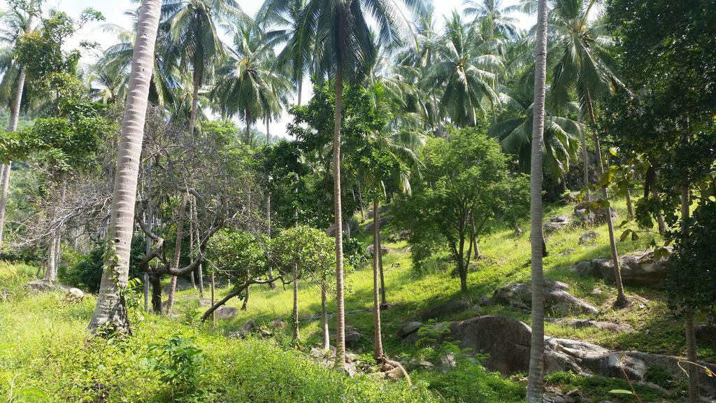 View Talay Samui