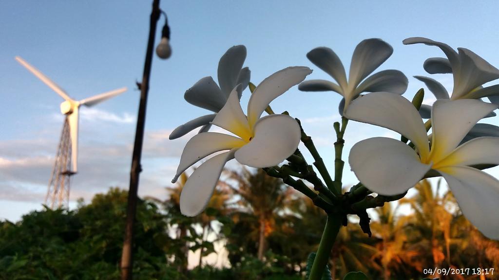 Homestay Rai Lung Tui Prachuap Khiri Khan