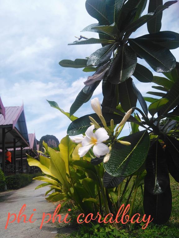Guest house Coralbay 2*