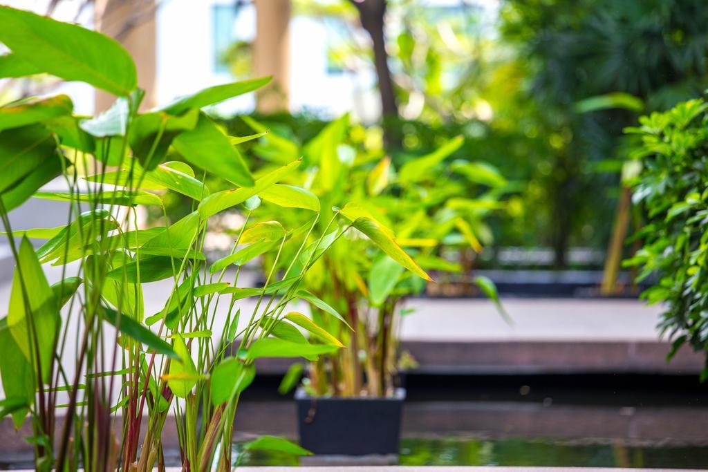 Hotel The Capital @ Sukhumvit 50 5*