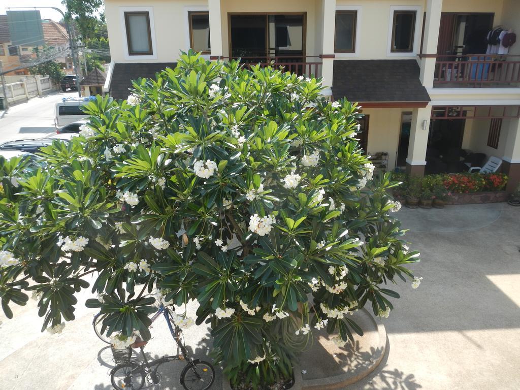Organgrinder Thai Paradise South Villa Cha-Am