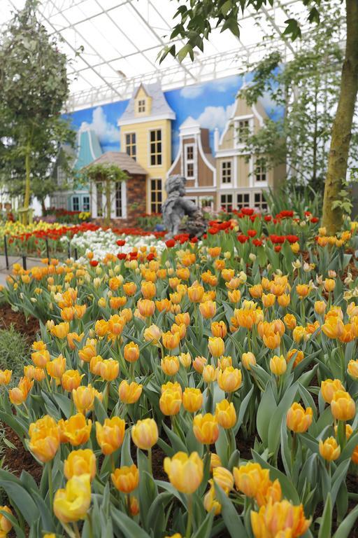 Hotel Play La Ploen Boutique And Adventure Camp 4*
