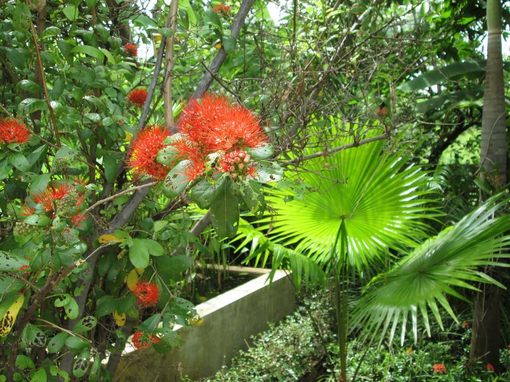 Happiness Guest house