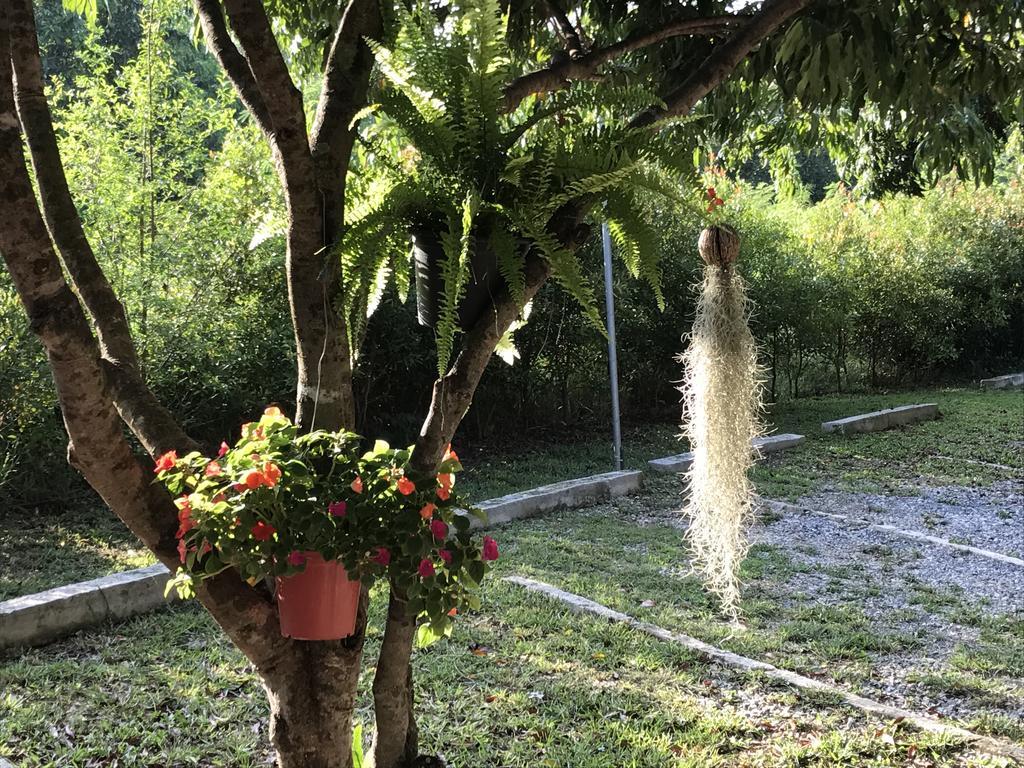 Jardin De Mangue Resort