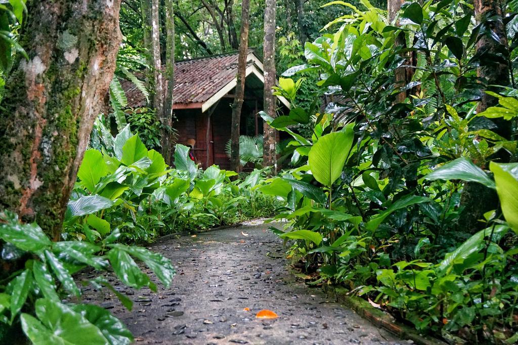 Lodge Khao Sok Riverside Khao Sok National Park