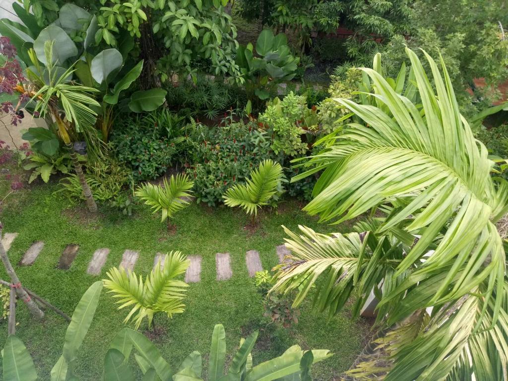 Buraphat 3* Chiang Dao