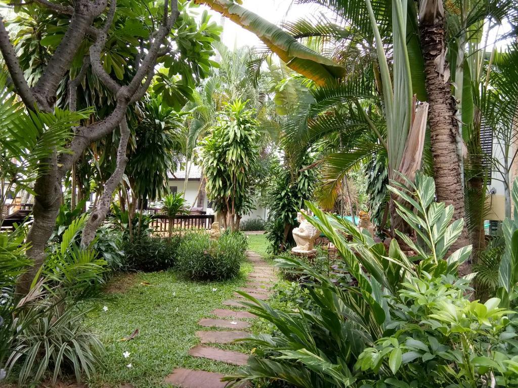 Golden Pine Resort
