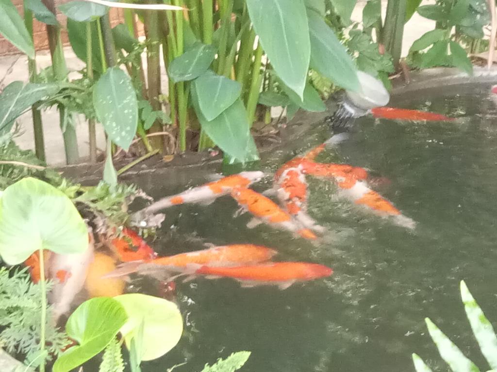 Resort Q Zone Boutique House Phra Nakhon Si Ayutthaya