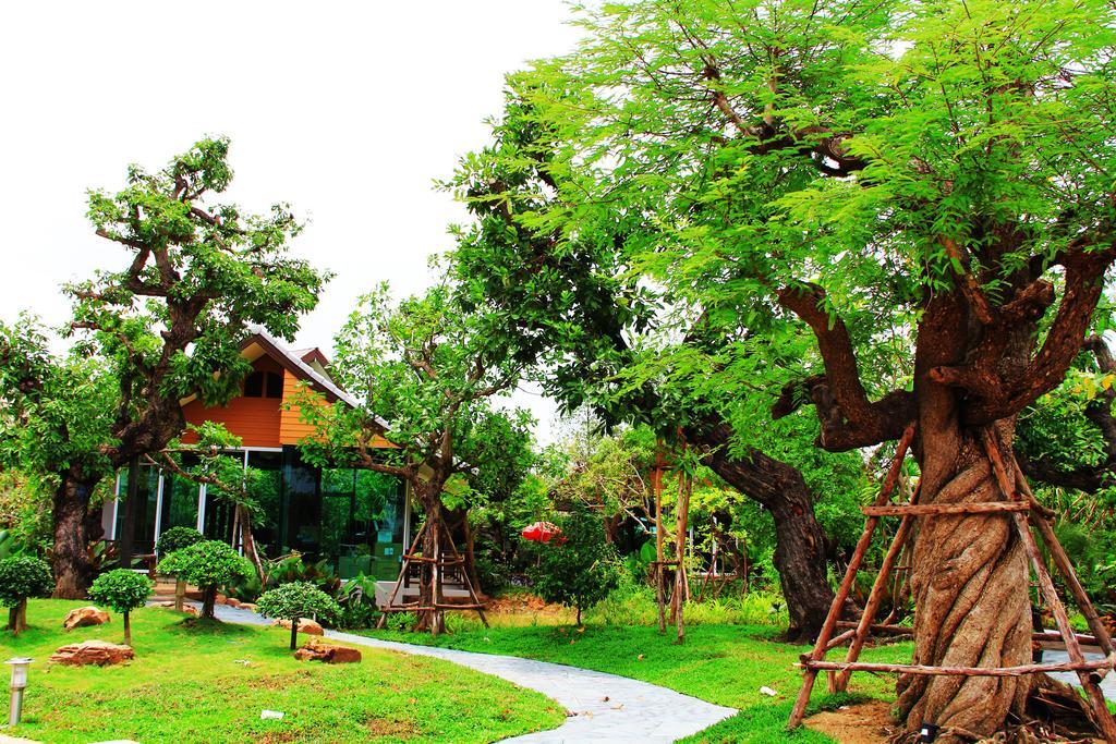 Taman