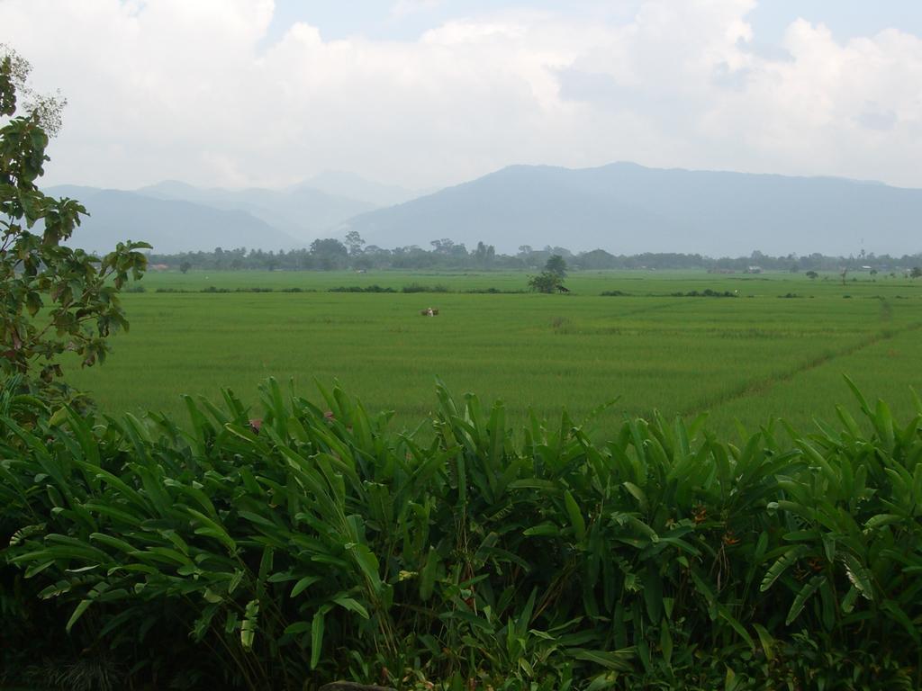 Rico 2* Chiang Kham