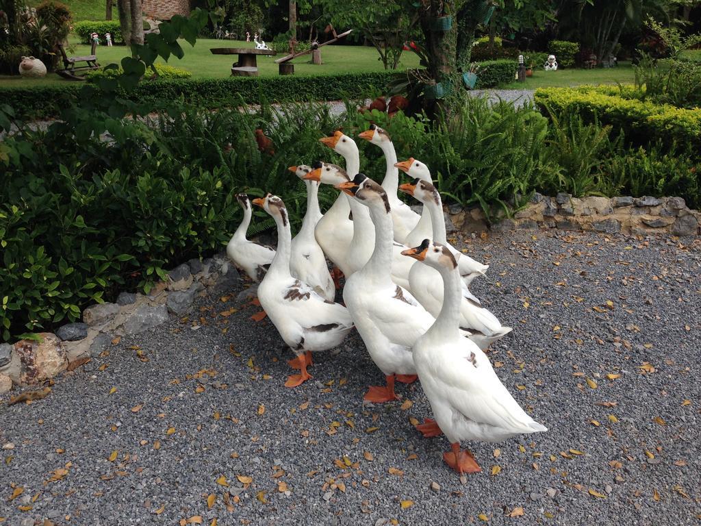 Watermill Resort