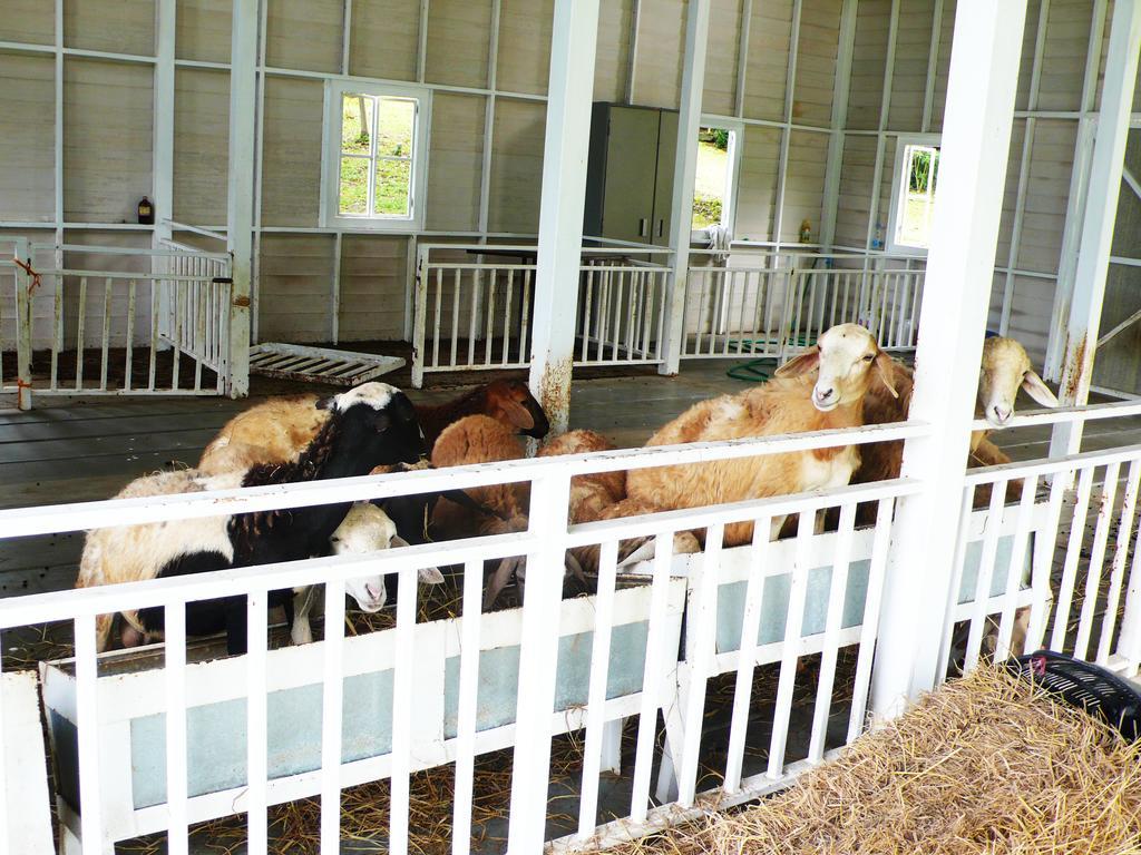 Brookside Valley Rayong