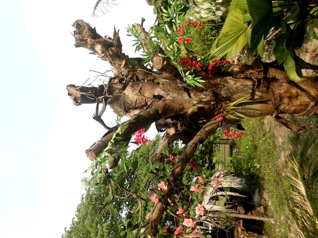 Phu Pua