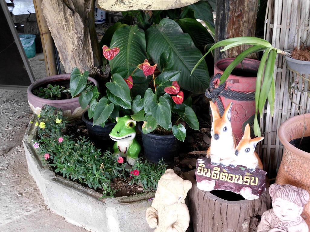 Phu Pua