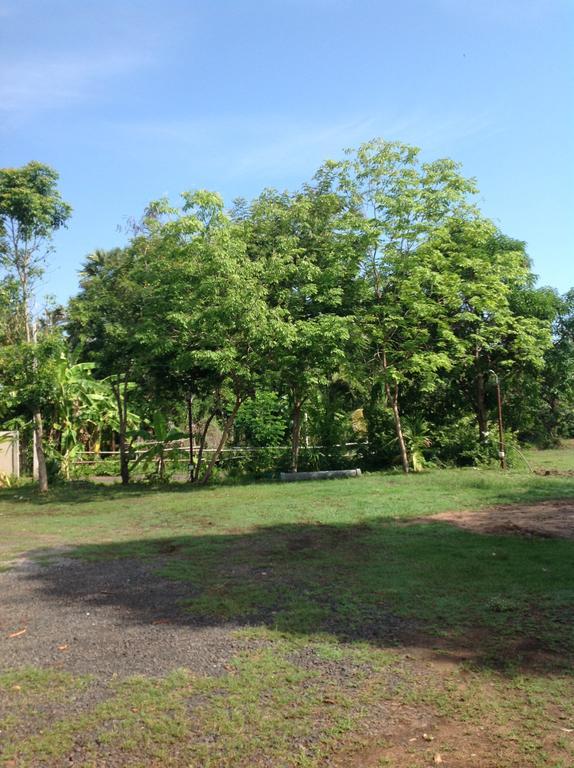 Resort Suanmak Nang Rong
