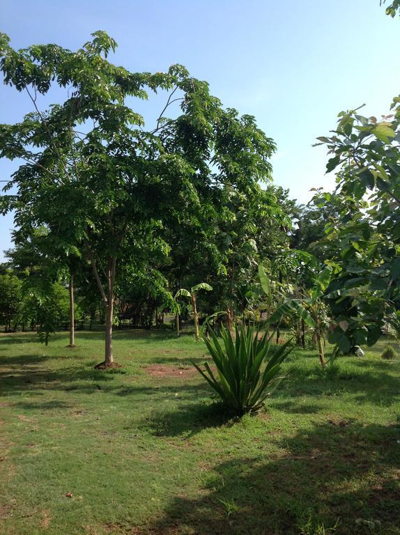 Resort Suanmak Nang Rong