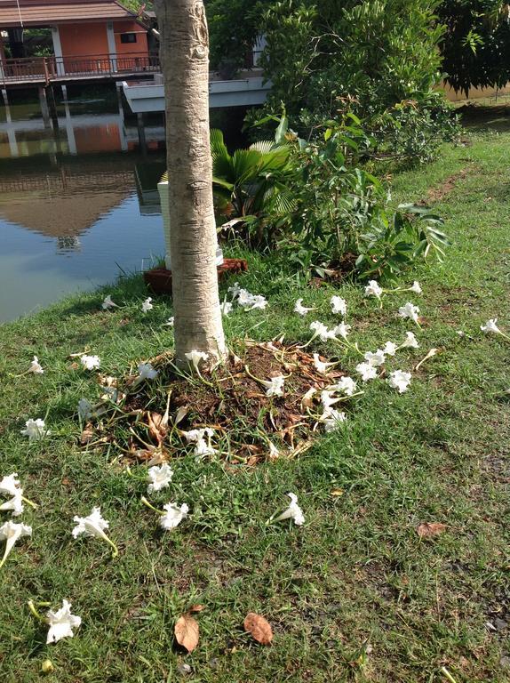 Suanmak Resort Nang Rong