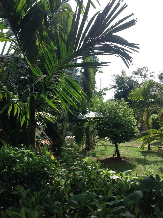 Suanmak Nang Rong