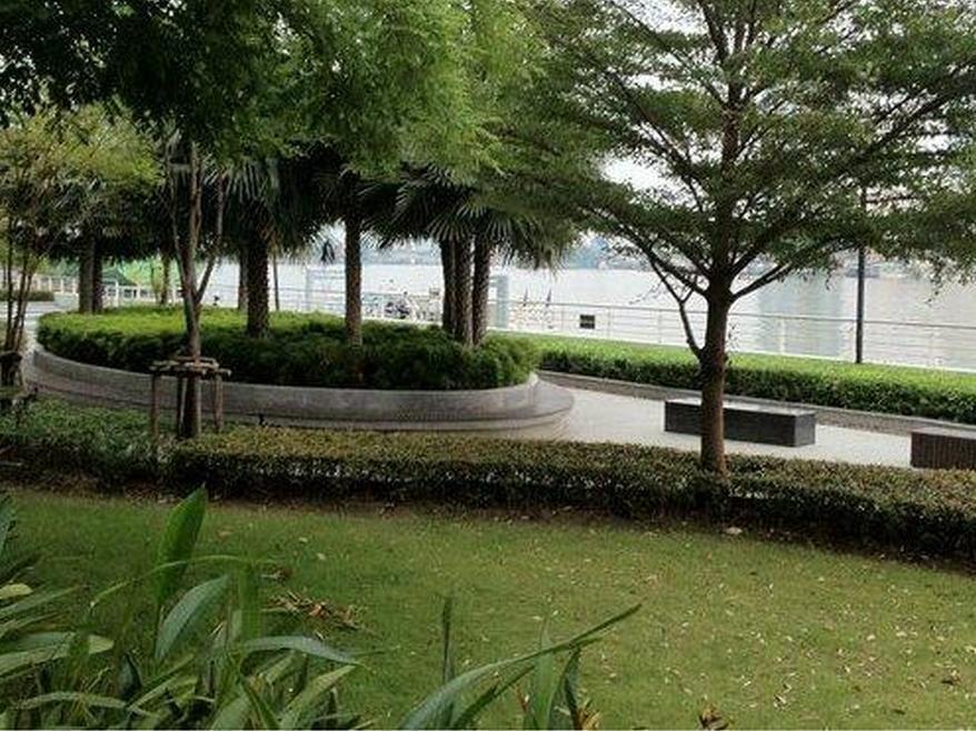 Chao Phraya River Front *