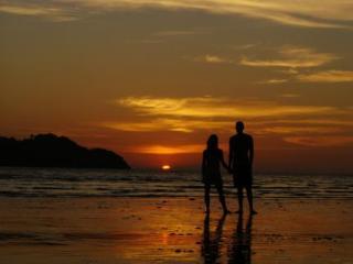 Paradise 2*