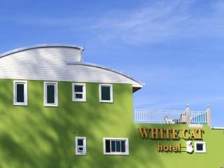 Hotel White Cat