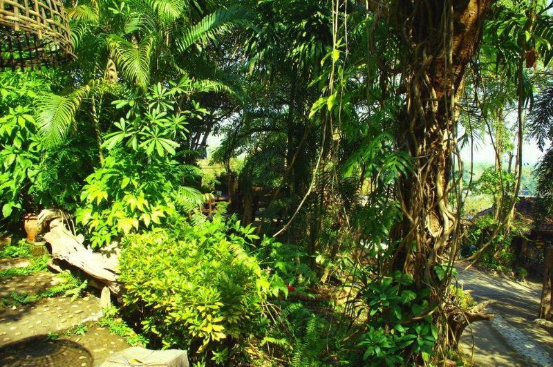 Resort Lhongkhao Chiang Mai