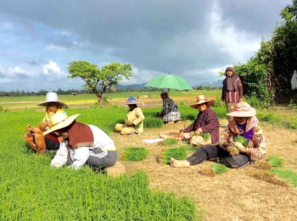 Baan Anattaya 2* Ko Yao Noi