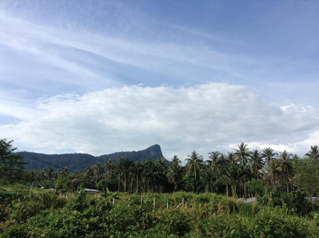 Naka Mountain View 2*