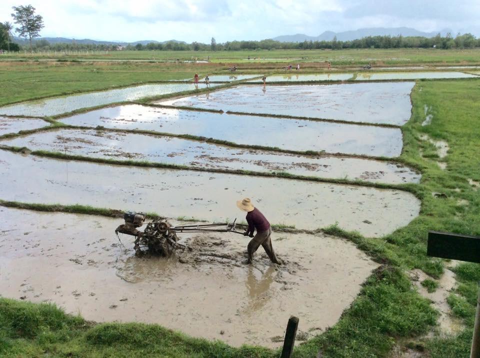 Baan Anattaya Ko Yao Noi