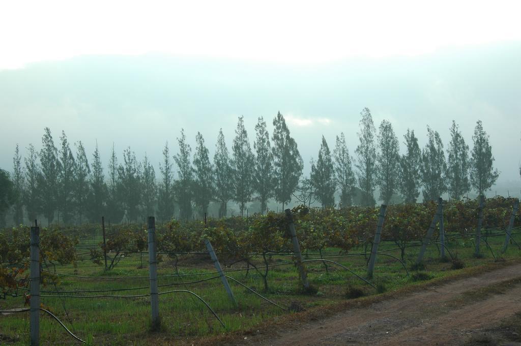 Village Farm And Winery