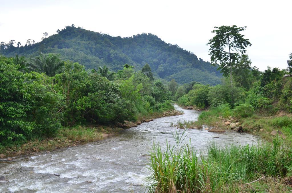 Country View 2* Phang Nga