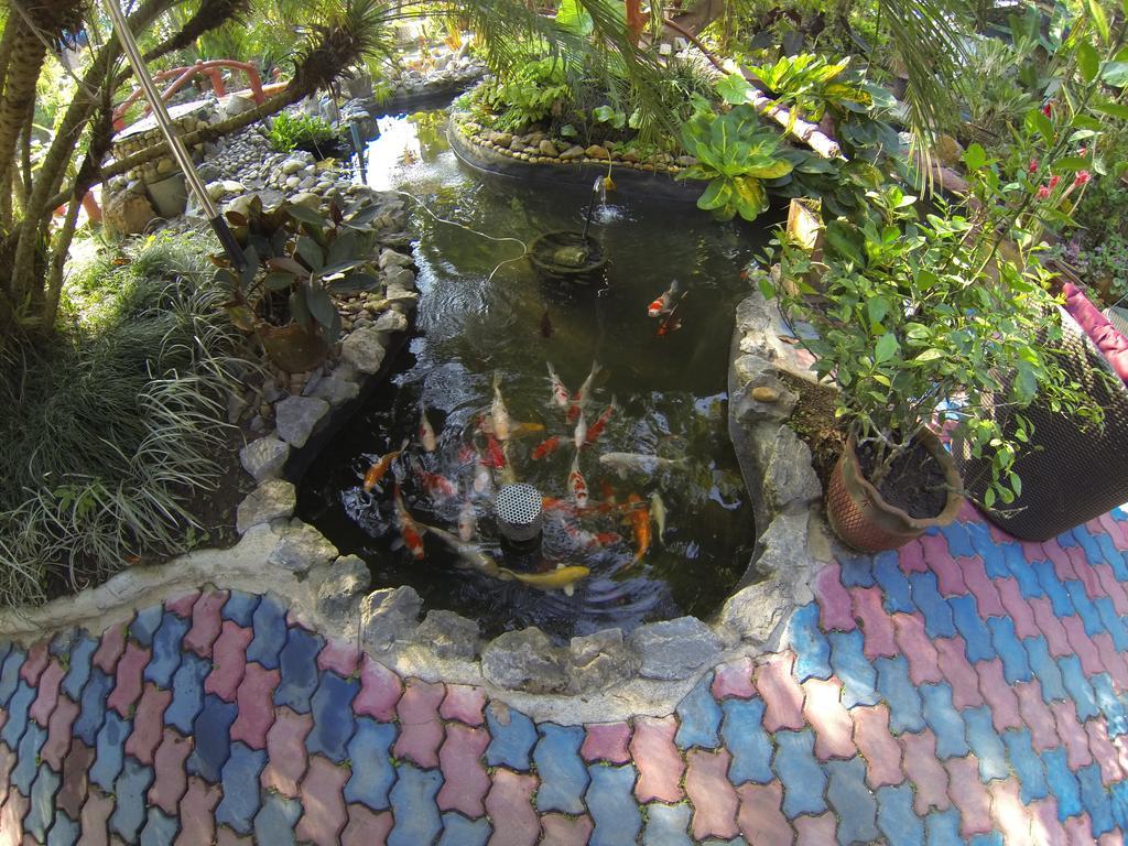 Riverside Resort 3*
