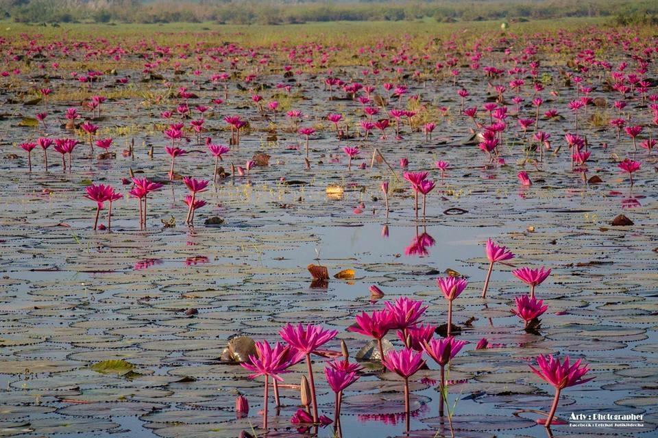 The Infinite Nakhon Sawan