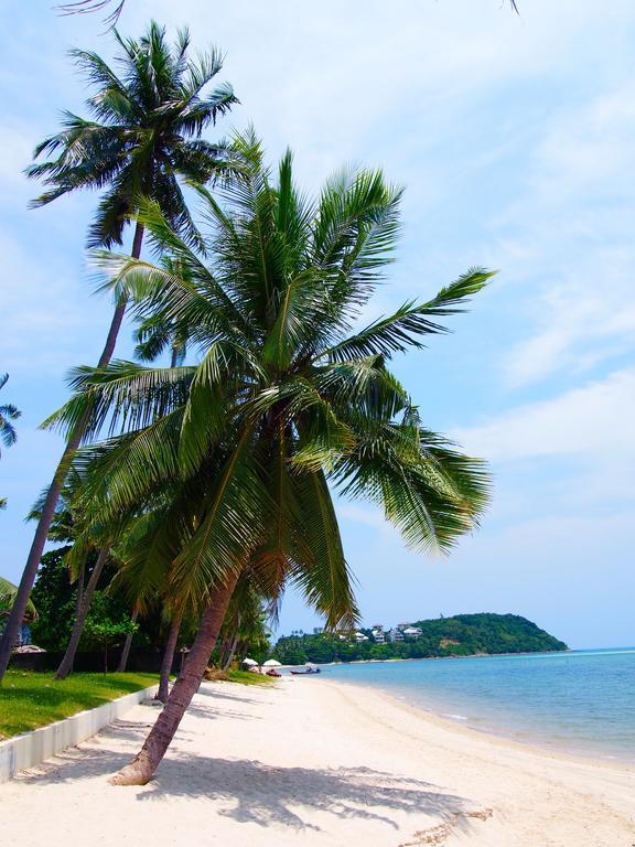 Plumeria Place 55 * Koh Samui