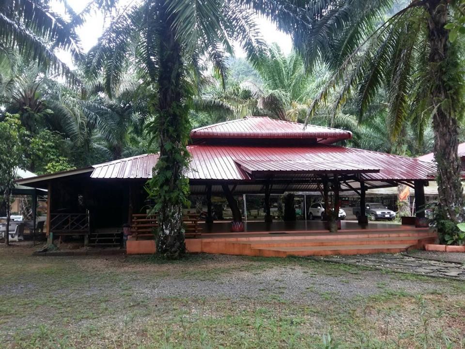 Rai Preda Ao Luk