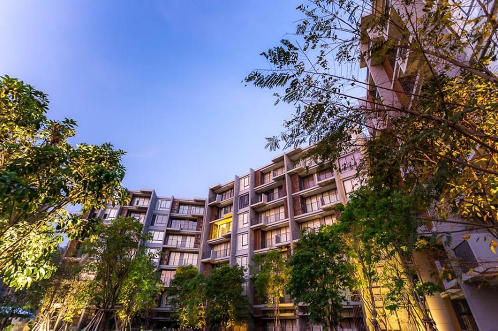 Japan 104-b Khaoyai At Tvl เขาใหญ่