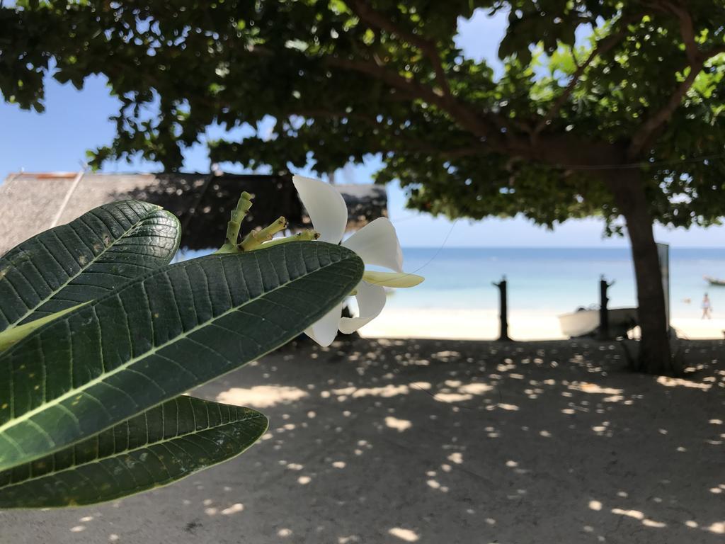 No Name Resort Haad Yao