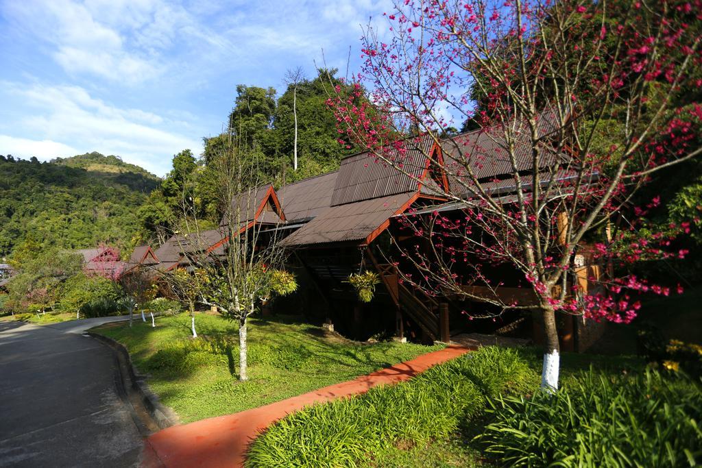 Angkhang Nature 4*