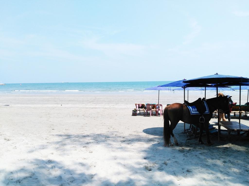 Autumn - The Sunset Hua Hin