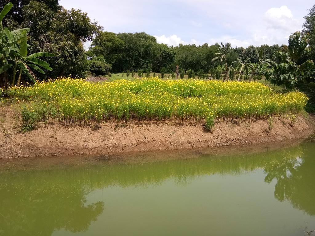 Ban Suan Sukjai Mae Sariang