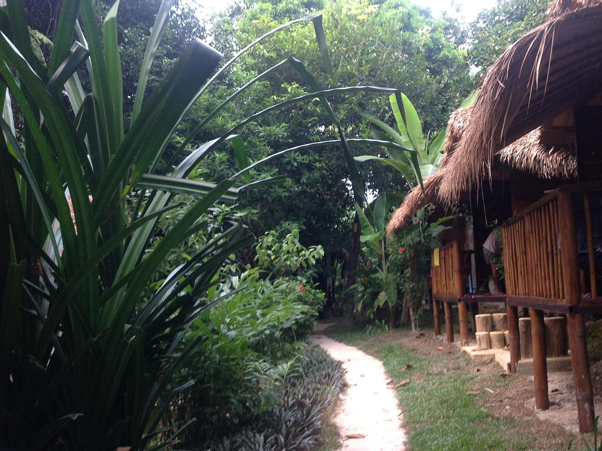 Resort Gecko Koh Lipe