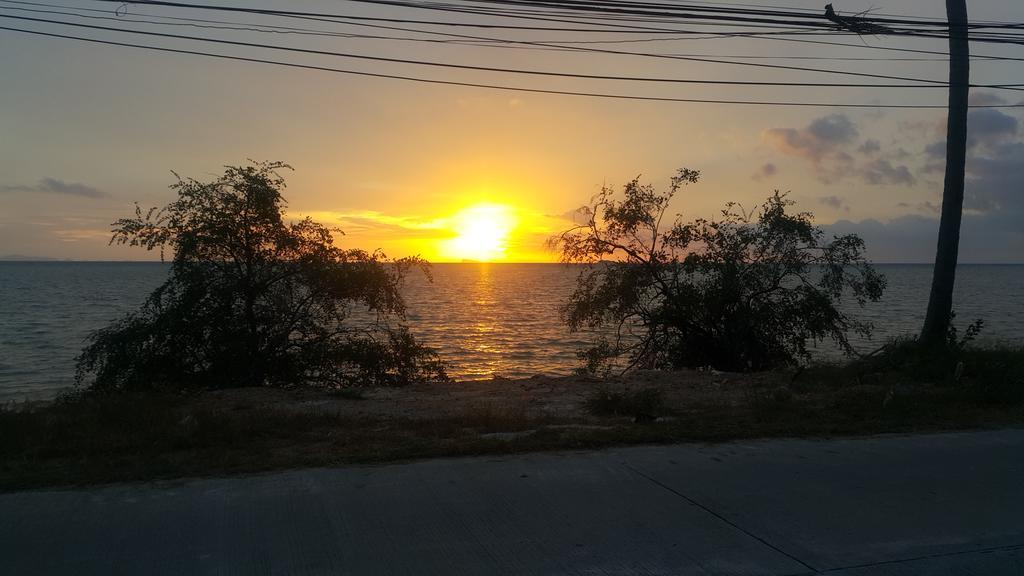 The Ford Sunset