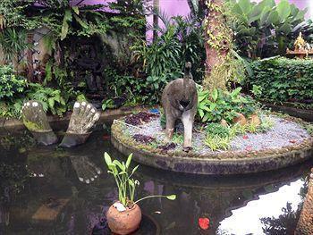 Garden Resort