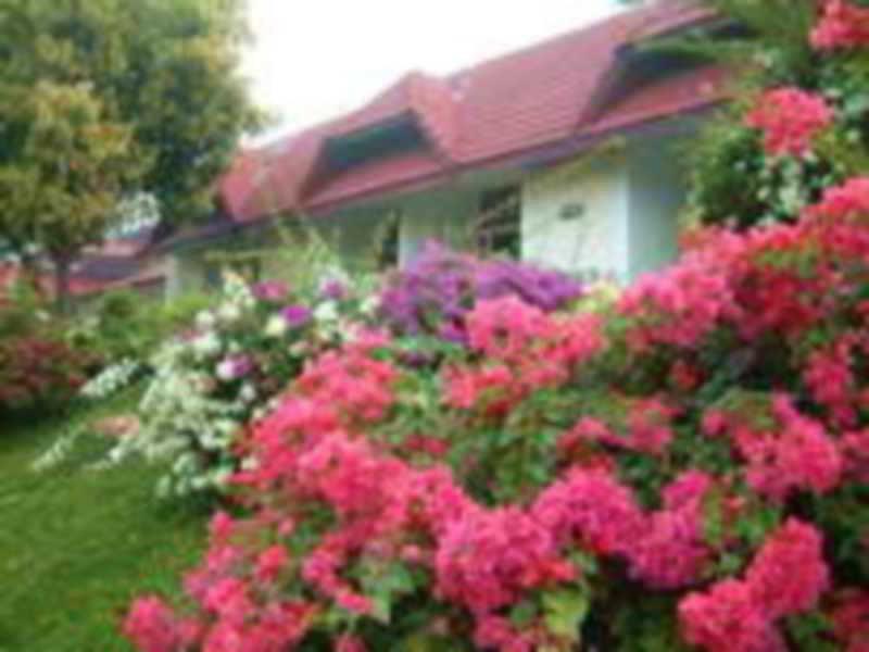 Valley Resort 2*