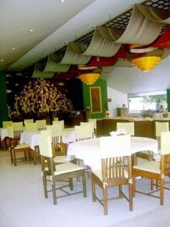 Hotel Botanic