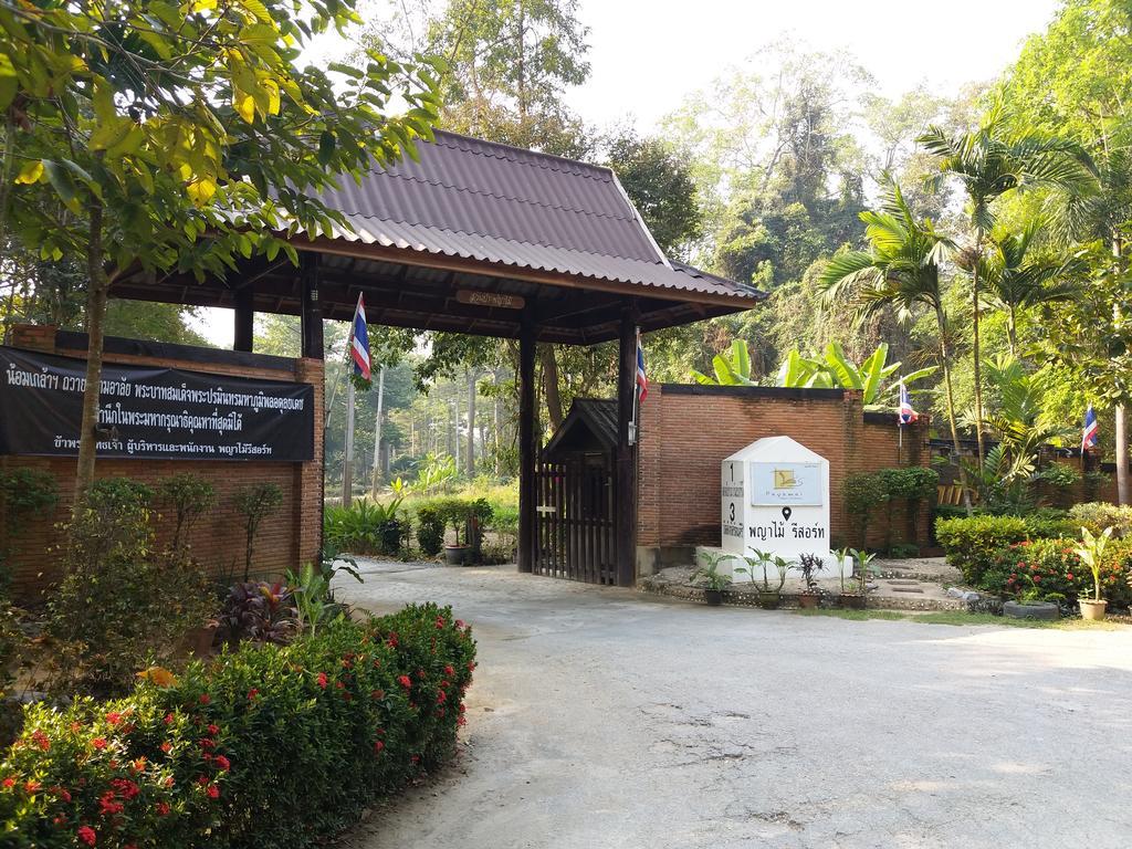 Payamai